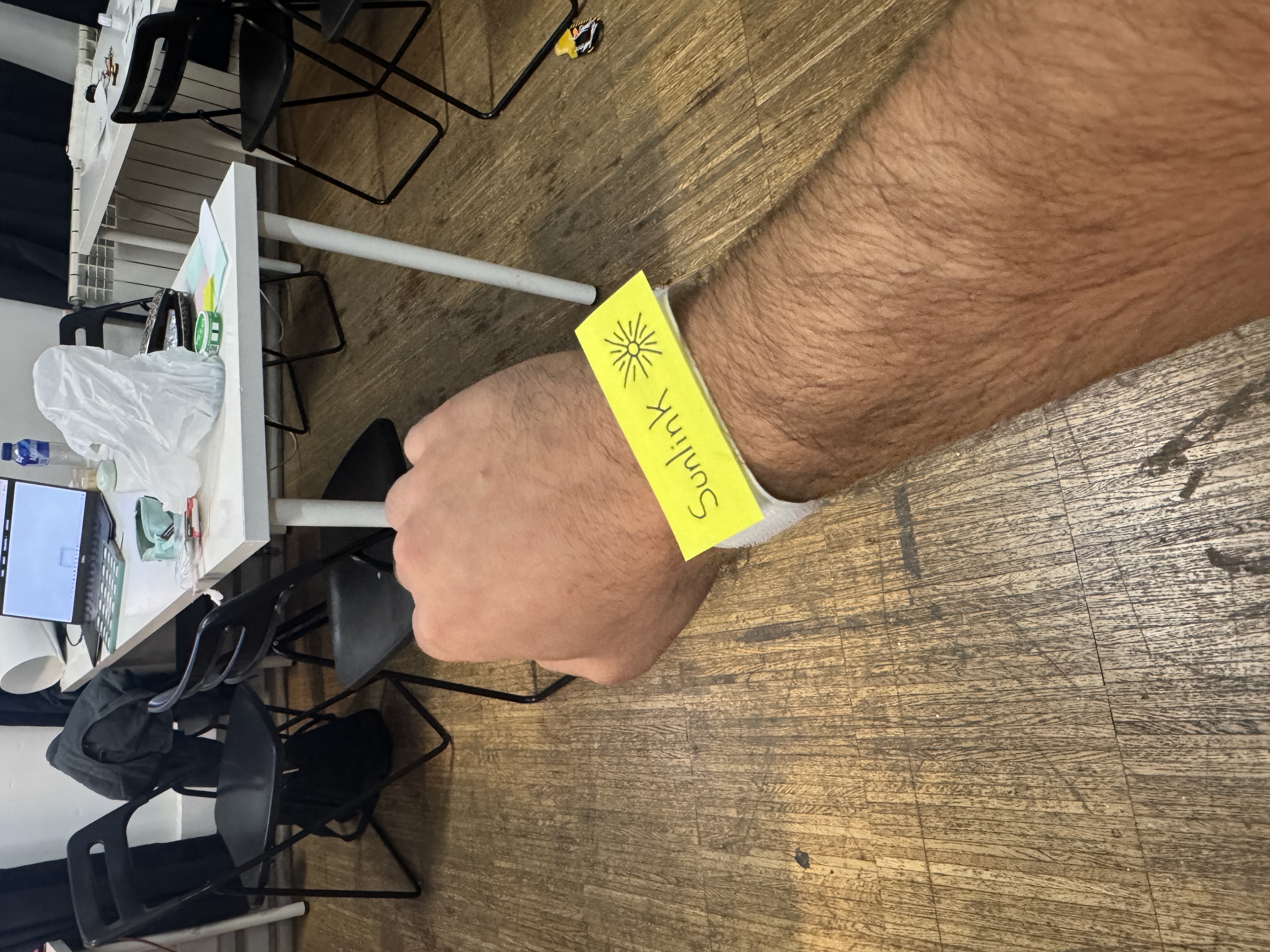 Solarlink Prosthesis - Front View